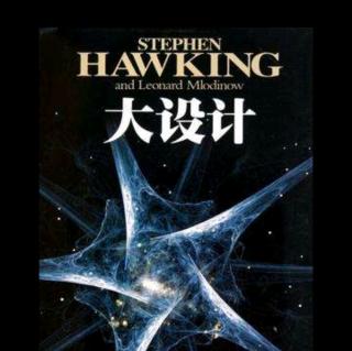 《大设计》