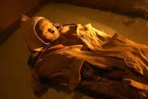 楼兰女尸是在哪一年发掘出来的