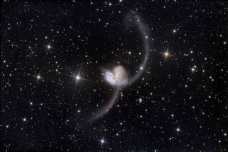 轸水蚓星宿简介