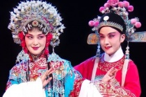 黄梅戏女驸马剧情是怎样的