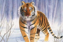 曹丕《猛虎行》赏析