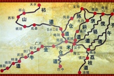 魏灭蜀之战经过