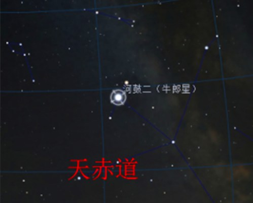 牛郎星