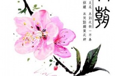 花朝节的发展历程