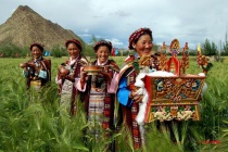 望果节是什么节日