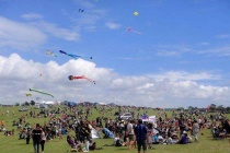 新西兰的国庆节在哪一天