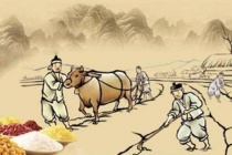 区田法是什么