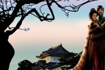 《梧桐雨》简介