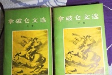 《拿破仑文选》的作品思想