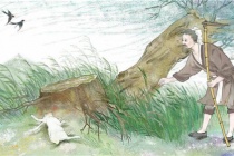 《韩非子》中守株待兔的典故