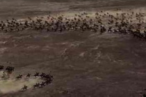 三国时期魏国对鲜卑是什么态度