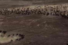 三国时期魏国对鲜卑是什么态度