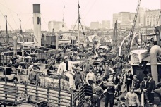 国会共和时期的智利是什么样的