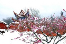 息夫人的悲惨爱情故事