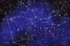 箕水豹星宿介绍