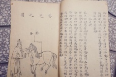 中兽医学成熟标志：《元亨疗马集》