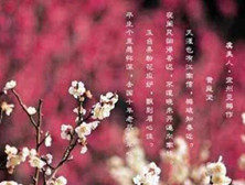 《虞美人·宜州见梅作》