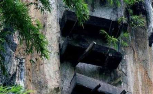 棺木为何千年不朽