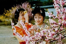 红楼梦饯花神是什么节气