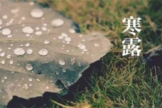 寒露时节怎么养生