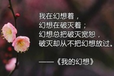 《我的幻想》顾城生命的纯粹