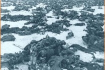 苏德战争列宁格勒保卫战战争过程