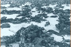 苏德战争列宁格勒保卫战战争过程