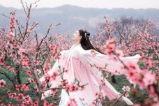 唐伯虎和他的《落花诗》