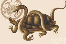 四大神兽的北方之神：玄武