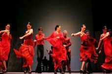 西班牙弗拉门戈舞介绍