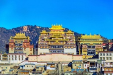 藏医的发展历史