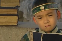 弘时是被雍正赐死的吗