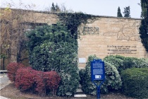 耶路撒冷教育水平概况