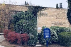 耶路撒冷教育水平概况