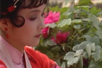 薛宝琴的人物评价