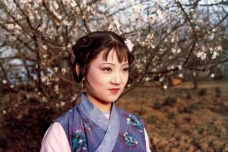 紫鹃的真诚勇敢