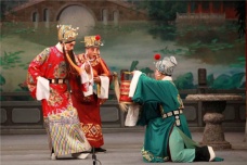 狸猫换太子的经过