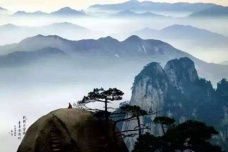 元好问故事之崔立碑事