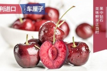 智利为什么盛产车厘子