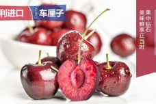 智利为什么盛产车厘子