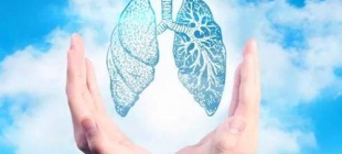 2009年11月12日：世界肺炎日