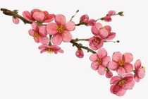 《梅花》诗歌赏析