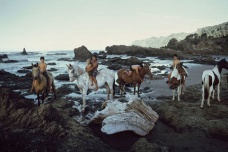 毛利人是哪个国家的人