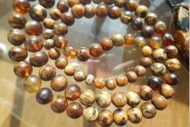 缅甸根珀是怎么形成的