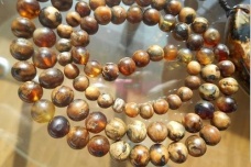 缅甸根珀是怎么形成的