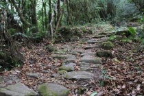 南方丝路之永昌道简介