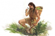 炎帝神农氏是中国药学的始祖吗