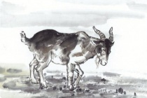 生肖羊的诗词欣赏