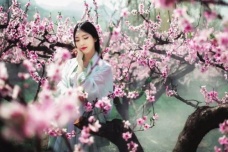 崔护与绛娘的爱情故事