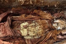 清东陵第二次被盗的经过